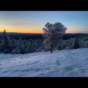 Meet your Posher, Yvette